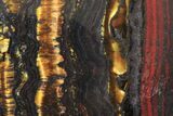 Tiger Iron Stromatolite Oval Cabochon #171321-1